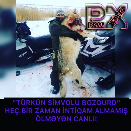 İNTİQAM ALMAMIŞ ÖLƏN DEYİL