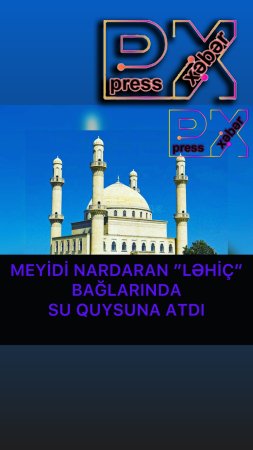 MEYİDİ NARDARAN BAĞLARINDA QUYUSUNA ATDI